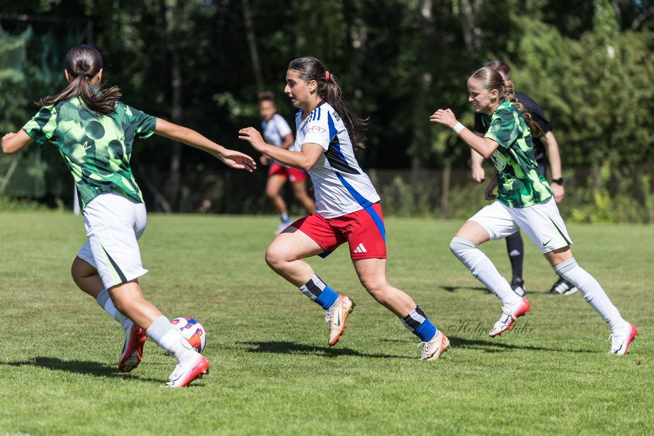 Bild 392 - wBJ Hamburger SV - VfL Wolfsburg : Ergebnis: 5:1